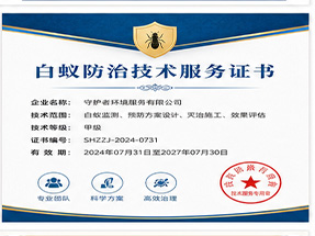 南宁市隆安县绿色环保推广产品荣誉证书